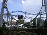 IMGP6305