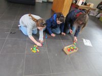 IMG 3018