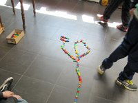 IMG 3053