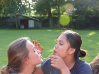 DSC 0008