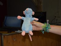 DSC 0007