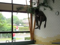 IMG 3552