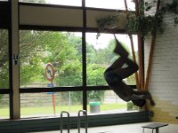 IMG 3553